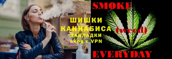 индика Козельск