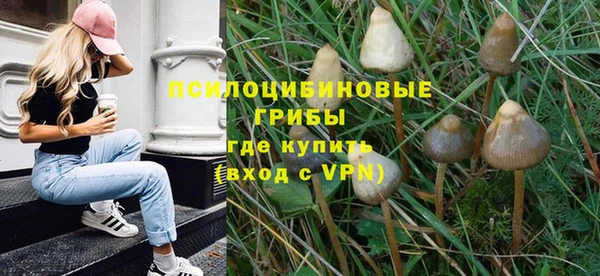 индика Козельск