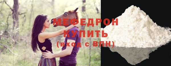 индика Козельск