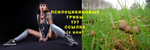 первитин Кодинск