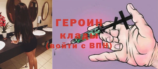 индика Козельск