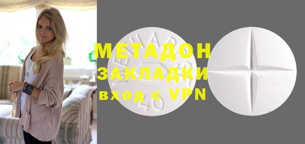 индика Козельск