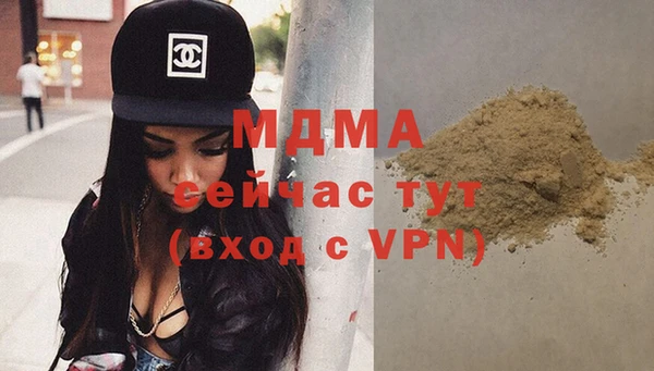 индика Козельск