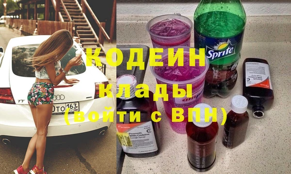 индика Козельск
