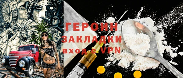 индика Козельск