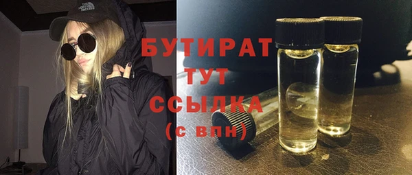 индика Козельск